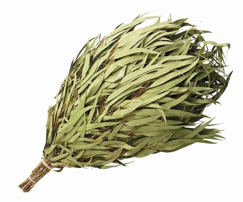 детальное фото веник эвкалиптовый в уп. банные штучки в интернет-магазине Дачный Эксперт